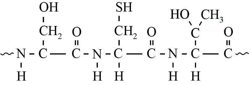 Structuurformule van het gedeelte Ser – Cys – Thr, zonder twee H-atomen